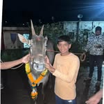 wada king vishnu - @wada_king_vishnu_1412 - Instagram