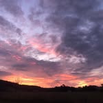 Lance Waddell-Smith - @waddellsmithlance - Instagram