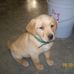 Wade Ackerman - Facebook