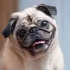 Wade Anthony - @wade.anthony03 - TikTok