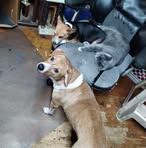 Wade Arrington - Facebook