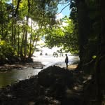 Wade Barnard - @wallarnd - Instagram