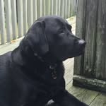 Wade Barnett - @wade.barnett - Instagram