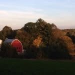 Wade Barry - @pineyhillfarm - Instagram