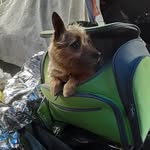 Wade Barry - @superdsdaddy - Instagram