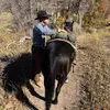 Swade Bartlett - @swadebartlett - TikTok