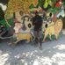 Wade Bodeen - Facebook