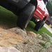 Wade Baughman - Facebook