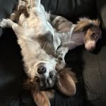 Michelle Wade Baxter - @montiebbb - Instagram