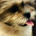 Beam Wade Fernando - Facebook
