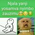 Waiti Bester - Facebook
