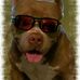 Wade Bean - Facebook