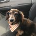 Wade Beard - Facebook