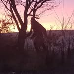 Wade Bearden - @bearden.wade - Instagram