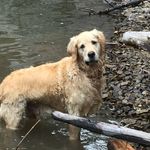 Wade Becker - @beckerbirchcliff - Instagram
