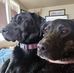 Wade Becker - Facebook