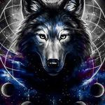 Brandon Wade Beebe - @brandonwade77 - Instagram