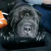 Wade Behr - @wadebehr2 - TikTok