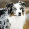 wade.belanger - @wade.belanger - TikTok