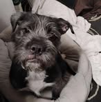 Wade Bender - Facebook