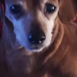 Wade Benedict - @benedictwade420 - Instagram