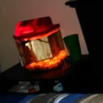 Wade Best - @wade.best - Instagram