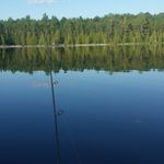 Wade Brewer - @wadebrewer3603 - Instagram