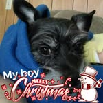 wade byrd - @byrds10man - Instagram