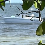 @wade_byrddiving - Instagram