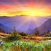 Wade Cameron - Facebook