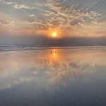 Wade Carden - @wdcrdn - Instagram