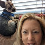 Kathy Wade Carney - @yorkie_mom1 - Instagram