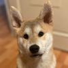Wade Chang - @wade731103 - TikTok
