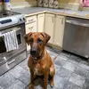 Wade Christopher Raulerson Tho - @wade.christopher4 - TikTok