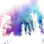 Wade Christopherson - @wade.christopherson - Instagram