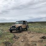 Wade Clements - @engineanatomy - Instagram