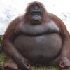 Wade Cochran - @bigboywaddyjr - TikTok