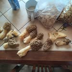 Wade Coker - @wadecoker636 - Instagram