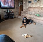 Wade Colley - Facebook
