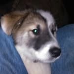 Wade Cook - @wade_cook10 - Instagram