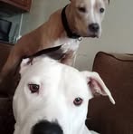 Wade Cook - Facebook