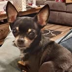 Wade Cook - Facebook