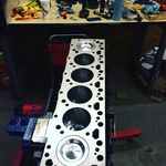 Wade Copeland - @wade.copeland.9 - Instagram