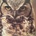 Wade Coyle - Facebook