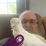 Craig Wade - @craig.wade.35 - Instagram