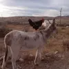 Wade Cross - @wade.cross7 - TikTok