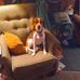 Wade Cross - Facebook