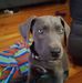 Wade Crowder - Facebook