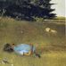 Joshua Dalrymple - Facebook