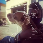 wade devries - @devries.wade - Instagram